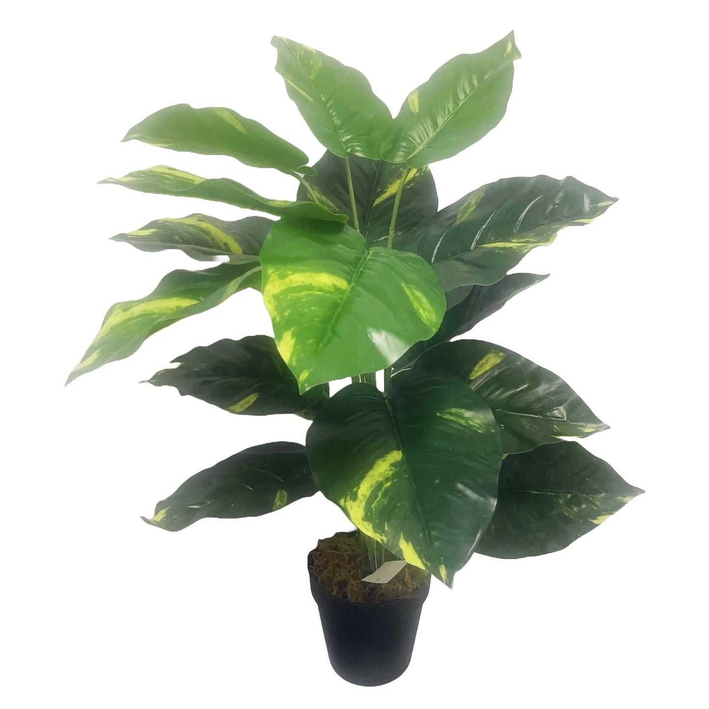 60cm Artificial Devil's Ivy (Scindapsus Aureus) Plant