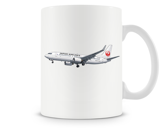 Japan Airlines Boeing 737