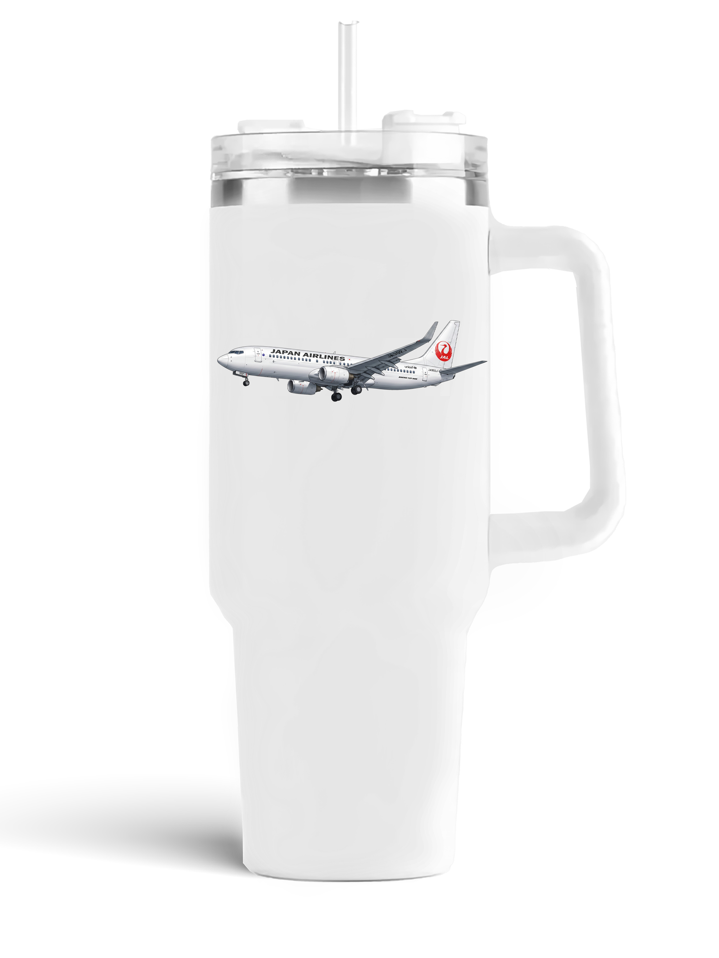Japan Airlines Boeing 737