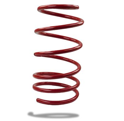 LOWERING SPRINGS  PONTIAC GTO